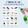 床上杀虫剂家用气雾剂灭蟑螂药蚂蚁跳蚤克星全窝端屋除螨喷雾驱虫